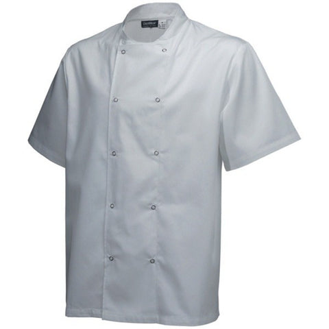 Basic White Stud Jacket (short Sleeve)